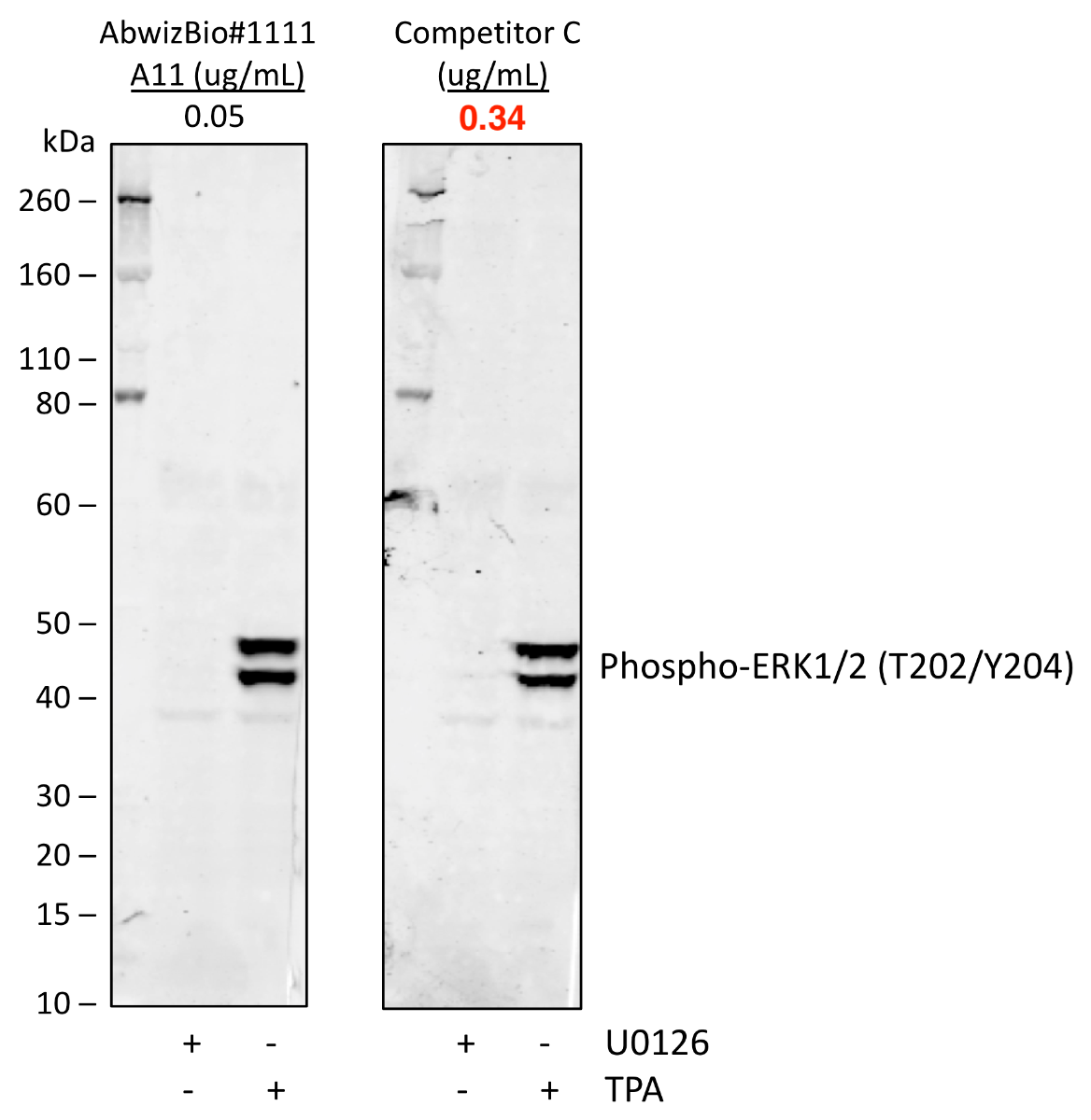 Cell Culture Products
