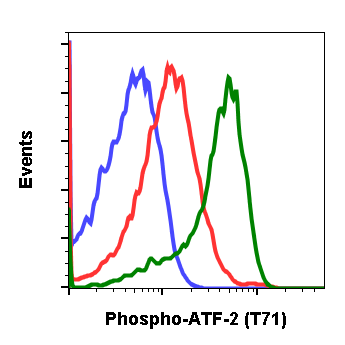 Cell Culture Products