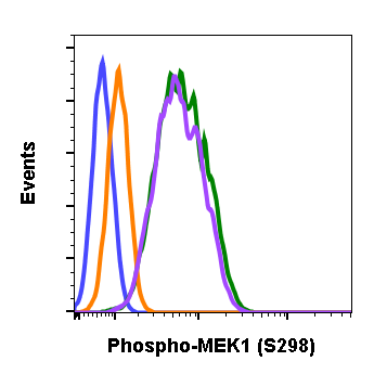 Cell Culture Products