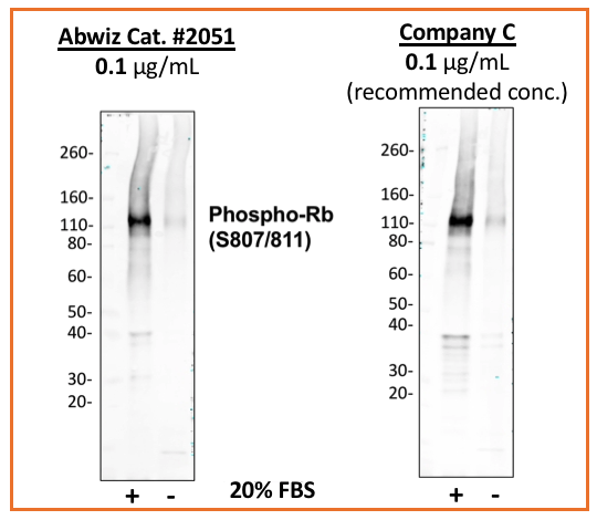 Cell Culture Products