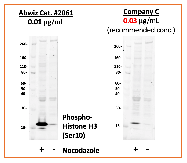 Cell Culture Products