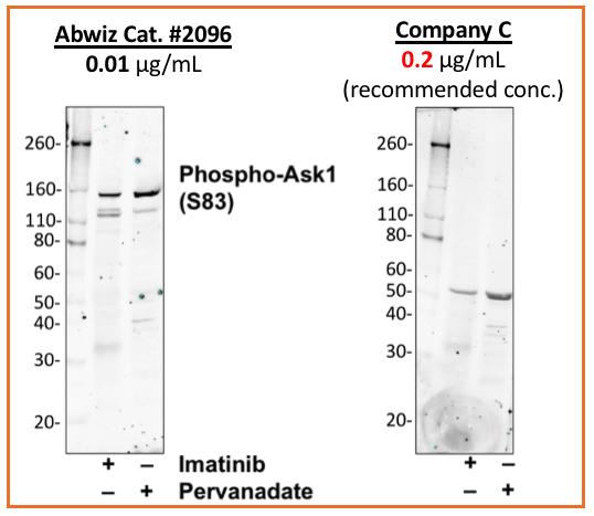 Cell Culture Products