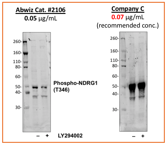 Cell Culture Products