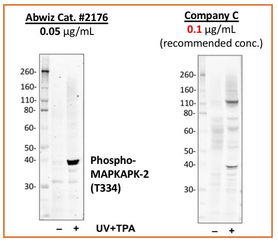 Cell Culture Products