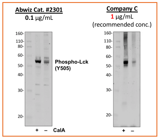 Cell Culture Products
