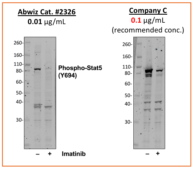 Cell Culture Products