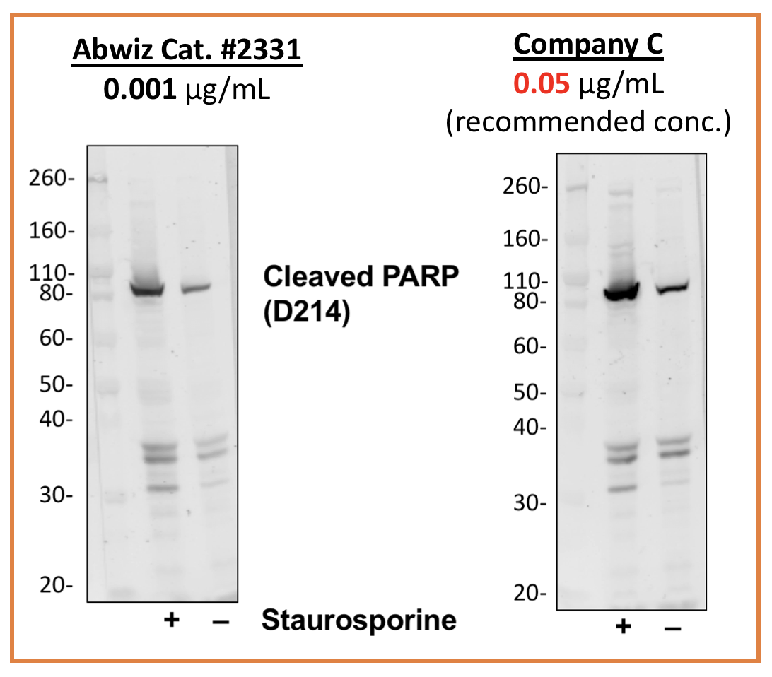 Cell Culture Products