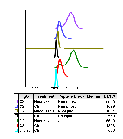 Cell Culture Products