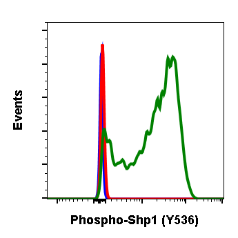 Cell Culture Products