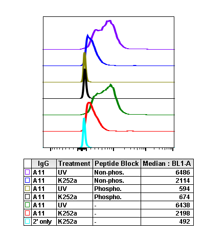 Cell Culture Products