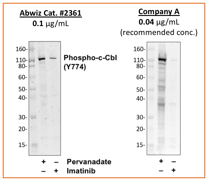 Cell Culture Products