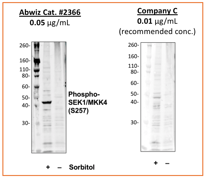 Cell Culture Products