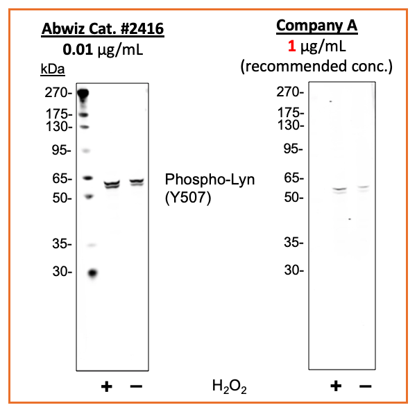 Cell Culture Products