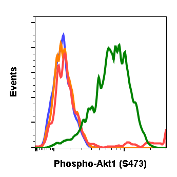 Cell Culture Products