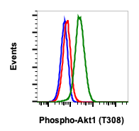 Cell Culture Products