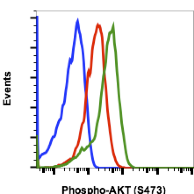 Cell Culture Products