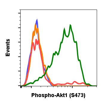 Cell Culture Products