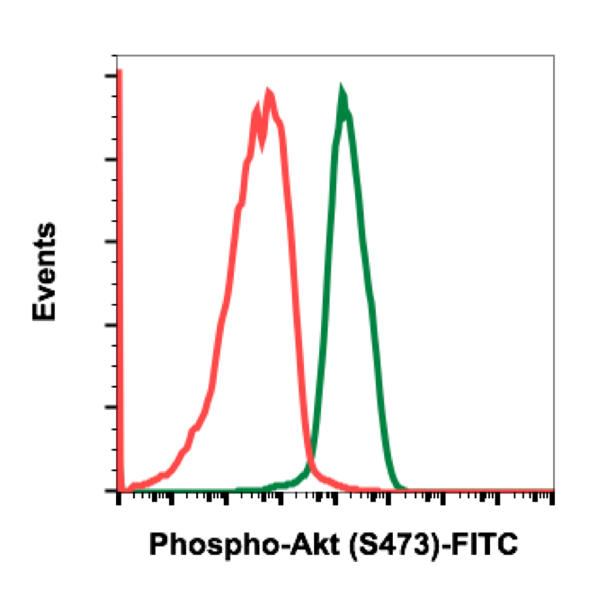 Cell Culture Products