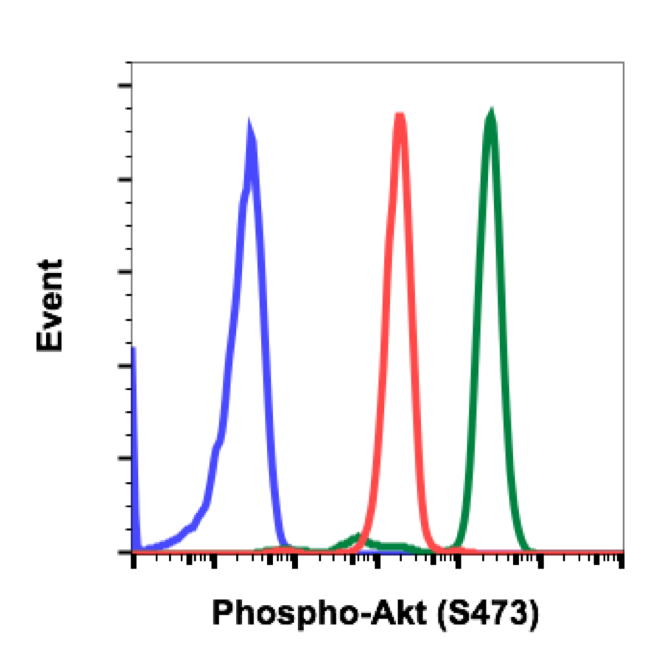 Cell Culture Products