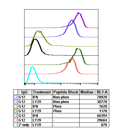 Cell Culture Products