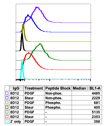 Cell Culture Products