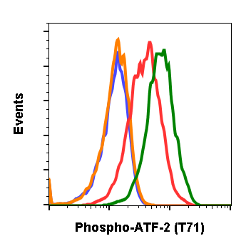 Cell Culture Products
