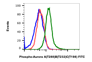 Cell Culture Products
