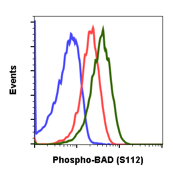 Cell Culture Products