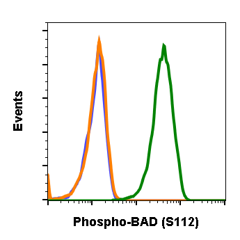 Cell Culture Products