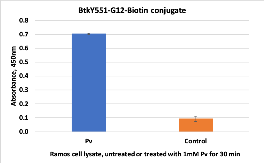 Cell Culture Products