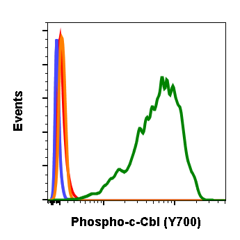Cell Culture Products