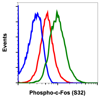 Cell Culture Products