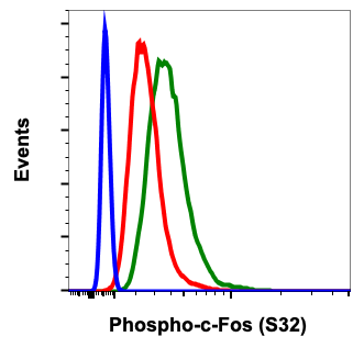 Cell Culture Products