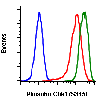 Cell Culture Products