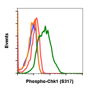 Cell Culture Products