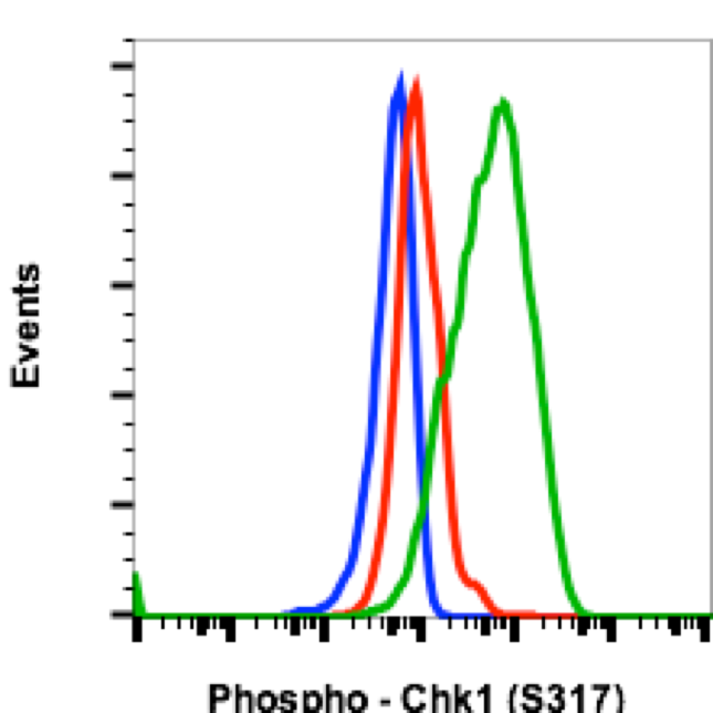 Cell Culture Products