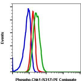 Cell Culture Products