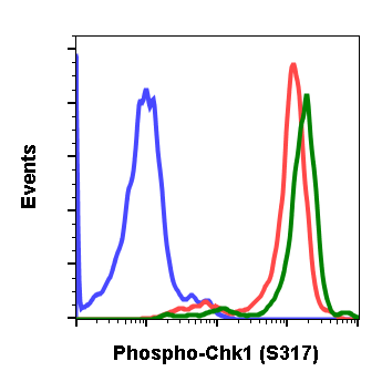 Cell Culture Products