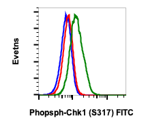 Cell Culture Products