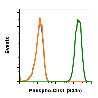 Cell Culture Products