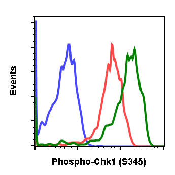 Cell Culture Products