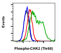 Cell Culture Products