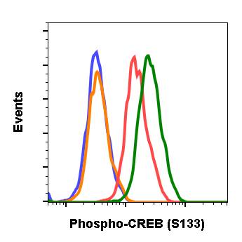 Cell Culture Products