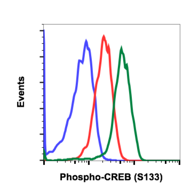 Cell Culture Products
