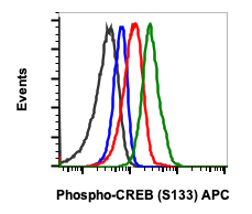 Cell Culture Products