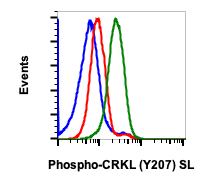Cell Culture Products