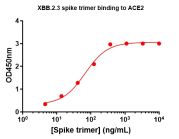 Concentration–response curves for binding of CoV2 spike protein to human ACE2 in cell-free ELISA-type assays. Microtiter wells were coated with 100 uL of ACE2-Fc at 2 ug/mL in PBS at 4˚C overnight. The wells were washed with PBS and blocked with 200 µL of
