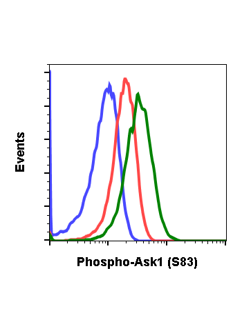 Phospho-Ask1 (Ser83) (G4) rabbit mAb