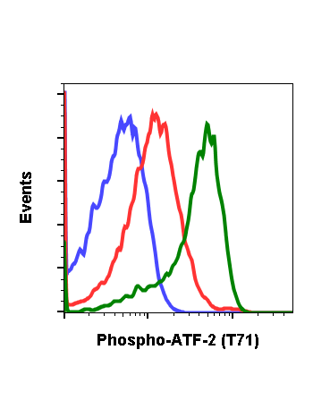 Phospho-ATF2 (Thr71) (G3) rabbit mAb