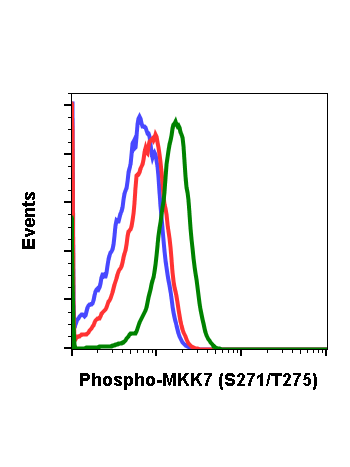 Phospho-MKK7 (Ser271/Thr275) (R4F9) rabbit mAb